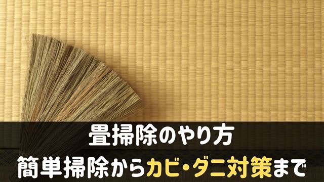 畳掃除のやり方