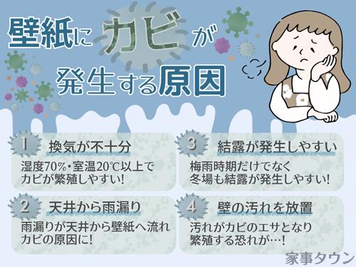 壁紙にカビが生える原因