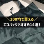 100均のエコバッグ