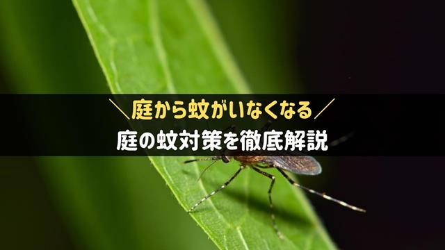 庭の蚊対策