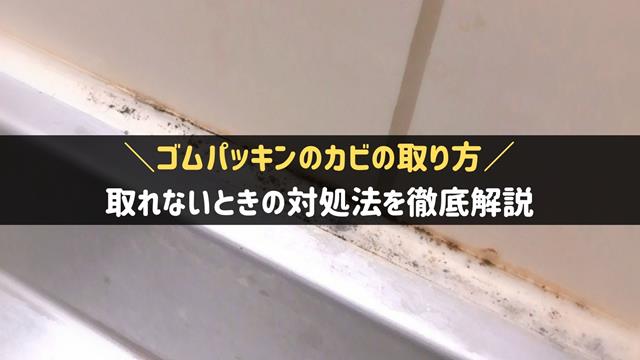 ゴムパッキンのカビの取り方