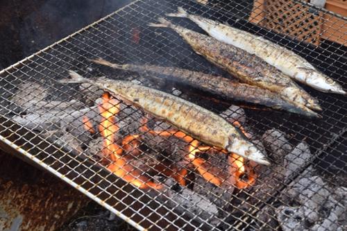 解凍後の魚の賞味期限は短い