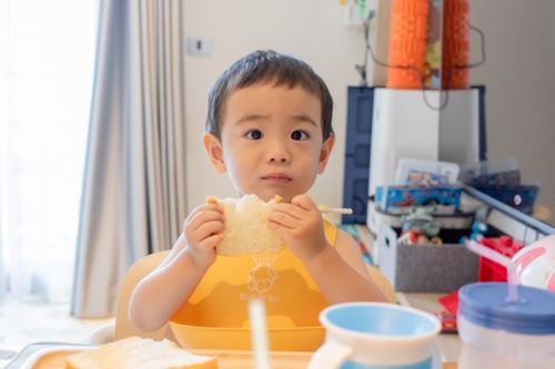 幼児がいる家庭には幼児食宅配がおすすめ！