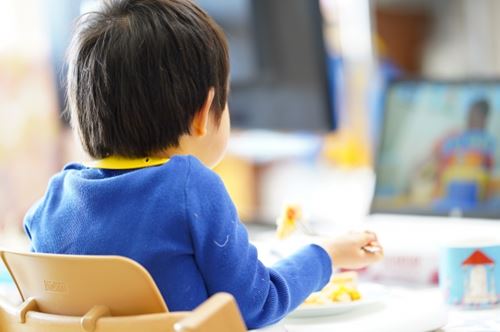 幼児食宅配のデメリット