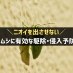 カメムシの駆除・侵入予防