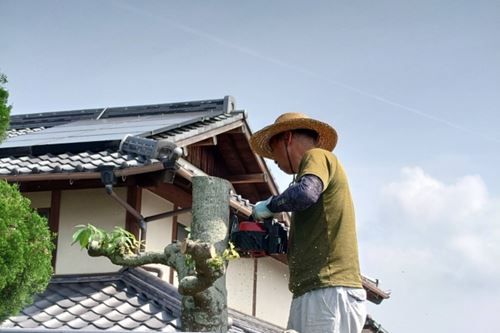 カメムシ害虫駆除業者