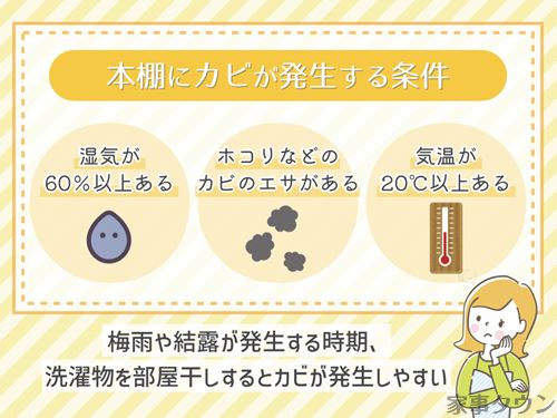 本棚にカビが発生する条件