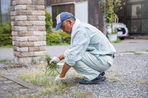 草むしりはどこに頼む？おすすめ業者